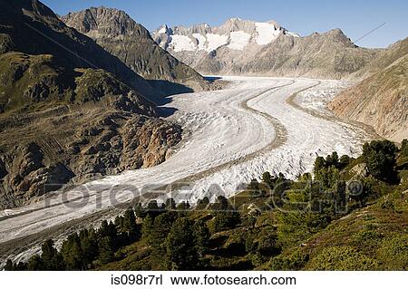 Aletsch glacier in switzerland View Large Photo Image Stock Image - Aletsch glacier in switzerland. Fotosearch