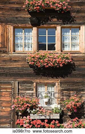 Flowers outside a swiss house View Large Photo Image Picture - Flowers outside a swiss house. Fotosearch