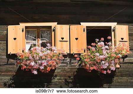 Flowers outside a swiss house View Large Photo Image Stock Photo - Flowers outside a swiss house. Fotosearch