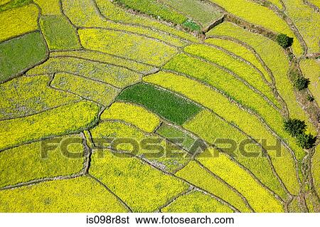 Aerial view of fields View Large Photo Image Stock Photograph - Aerial view of fields. Fotosearch
