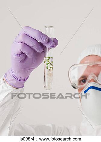 Scientist holding a plant in a test tube View Large Photo Image Stock Photograph - Scientist holding a plant in a test tube. Fotosearch