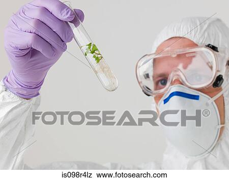 Scientist with a sapling in a test tube View Large Photo Image Stock Photo - Scientist with a sapling in a test tube. Fotosearch