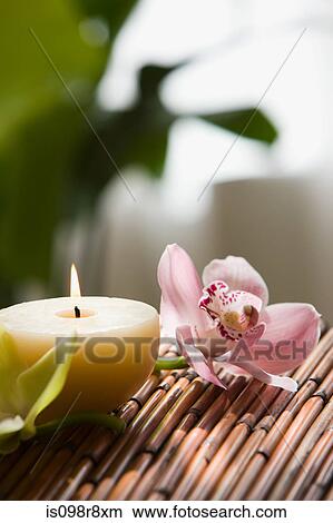 Orchid flowers and candle View Large Photo Image Picture - Orchid flowers and candle. Fotosearch