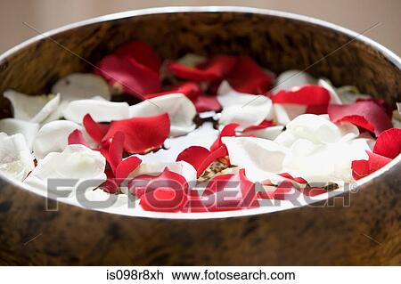Petals in a bowl View Large Photo Image Stock Image - Petals in a bowl. Fotosearch