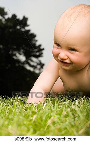 Baby crawling on grass View Large Photo Image Stock Image - Baby crawling on grass. Fotosearch