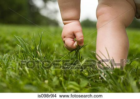 Close up of hand and leg of baby in grass View Large Photo Image Picture - Close up of hand and leg of baby in grass. Fotosearch