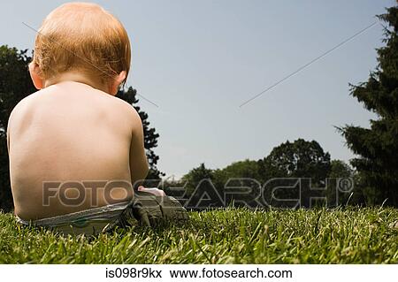 Rear view of baby sitting in a park View Large Photo Image Stock Photo - Rear view of baby sitting in a park. Fotosearch