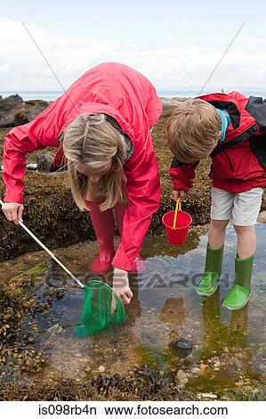 Mother and son looking in rock pool View Large Photo Image Picture - Mother and son looking in rock pool. Fotosearch