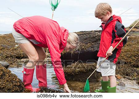 Mother and son looking in rock pool View Large Photo Image Stock Photo - Mother and son looking in rock pool. Fotosearch