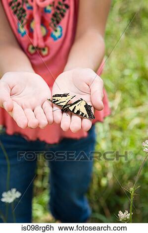 Girl holding a butterfly View Large Photo Image Stock Image - Girl holding a butterfly. Fotosearch