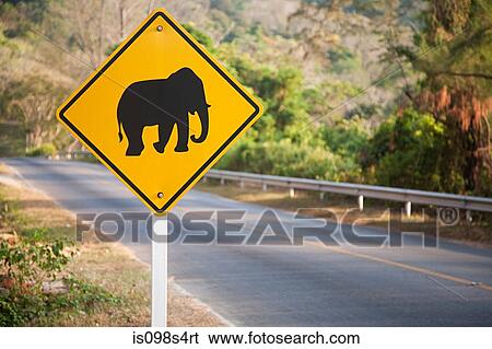 Elephant road sign in phuket View Large Photo Image Stock Photograph - Elephant road sign in phuket. Fotosearch