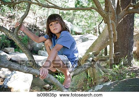 Boy sitting in a tree View Large Photo Image Stock Photography - Boy sitting in a tree. Fotosearch