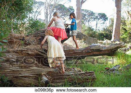 Children climbing over tree trunk View Large Photo Image Stock Photography - Children climbing over tree trunk. Fotosearch