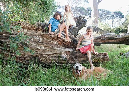 Children on a tree trunk with golden retriever View Large Photo Image Stock Image - Children on a tree trunk with golden retriever. Fotosearch