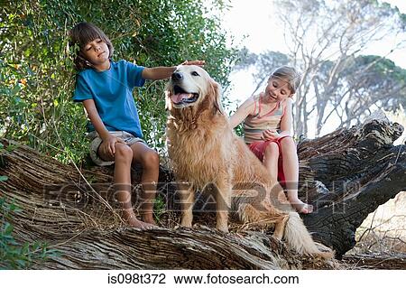 Stock Image - Children on tree trunk with golden retriever. Fotosearch