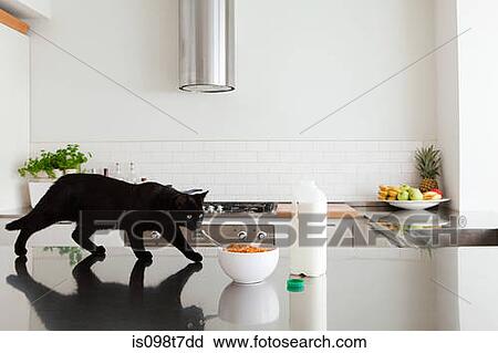 Black cat on counter with milk and cereal View Large Photo Image Stock Image - Black cat on counter with milk and cereal. Fotosearch