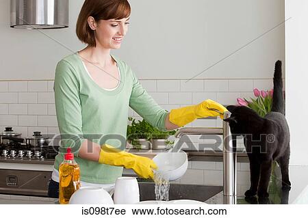 Woman washing up with cat by sink View Large Photo Image Stock Image - Woman washing up with cat by sink. Fotosearch