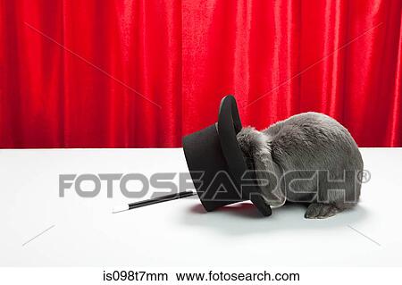 Picture - Rabbit with top hat and magic wand. Fotosearch