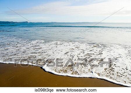 Auckland, shore at Hauraki Gulf View Large Photo Image Stock Image - Auckland, shore at Hauraki Gulf. Fotosearch