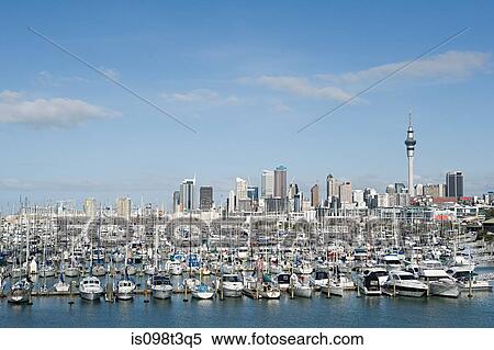 Auckland skyline View Large Photo Image Stock Photography - Auckland skyline. Fotosearch