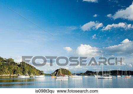 Stock Photograph - Bay of Islands, yachts in the bays near Kerikeri. Fotosearch