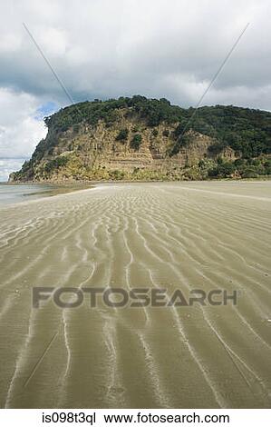 Stock Image - Beach of Wendeholm National Park near Auckland. Fotosearch