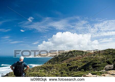 Stock Image - hiker looking towards inlet of Hokianga Harbour. Fotosearch