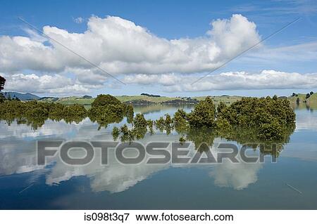 Stock Photo - Hokianga Harbour near Omapere. Fotosearch