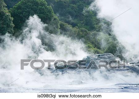 Rotorua, Whakarewarewa thermal area View Large Photo Image Stock Image - Rotorua, Whakarewarewa thermal area. Fotosearch