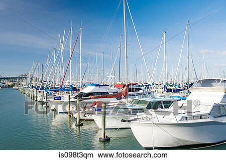 Westhaven Marina, Auckland View Large Photo Image Picture - Westhaven Marina, Auckland. Fotosearch
