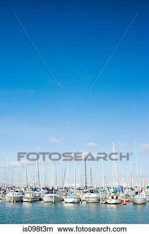 Picture - Westhaven Marina, Auckland. Fotosearch