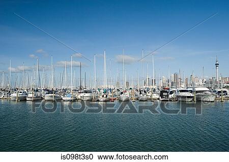 Westhaven Marina, Auckland View Large Photo Image Stock Image - Westhaven Marina, Auckland. Fotosearch