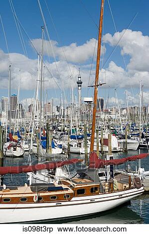 Westhaven Marina, Auckland View Large Photo Image Stock Photography - Westhaven Marina, Auckland. Fotosearch
