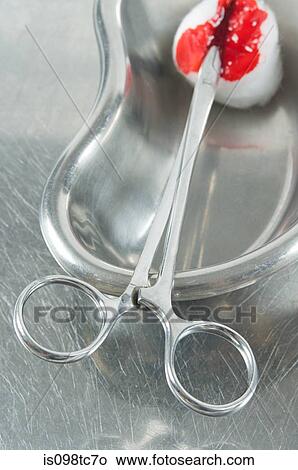Blood on cotton swab and surgical scissors View Large Photo Image Picture - Blood on cotton swab and surgical scissors. Fotosearch