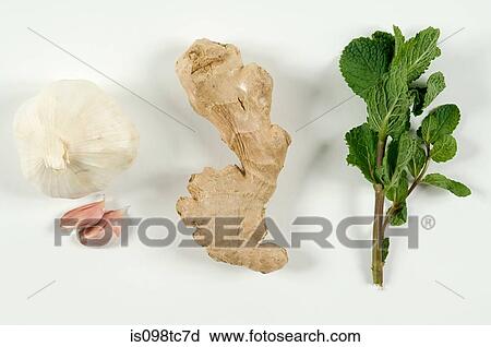 Garlic ginger and mint View Large Photo Image Stock Image - Garlic ginger and mint. Fotosearch