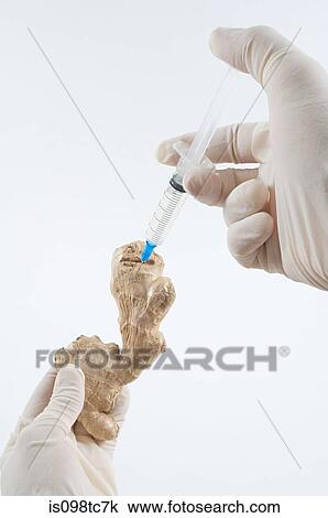 Stock Image - Person injecting ginger. Fotosearch