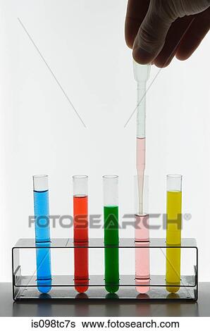 Person putting liquid in test tubes View Large Photo Image Stock Photograph - Person putting liquid in test tubes. Fotosearch
