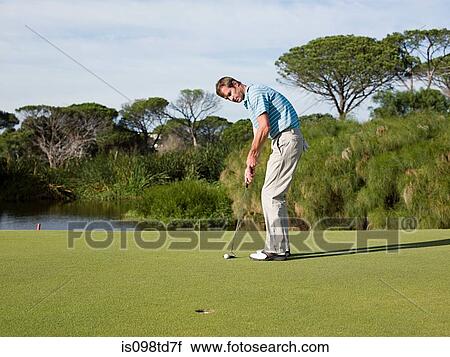 Man playing golf, on putting green View Large Photo Image Stock Image - Man playing golf, on putting green. Fotosearch