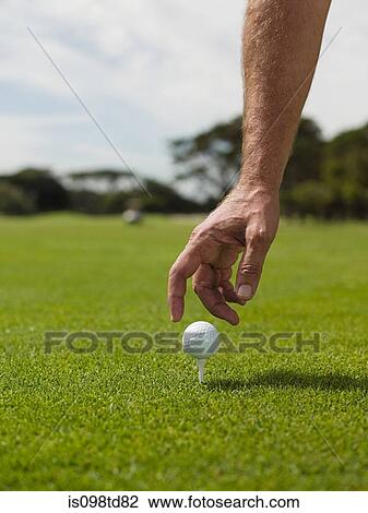 Man playing golf, picking up ball View Large Photo Image Stock Image - Man playing golf, picking up ball. Fotosearch
