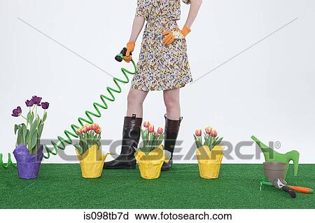 Woman with hose and flowers on artificial turf View Large Photo Image Stock Image - Woman with hose and flowers on artificial turf. Fotosearch