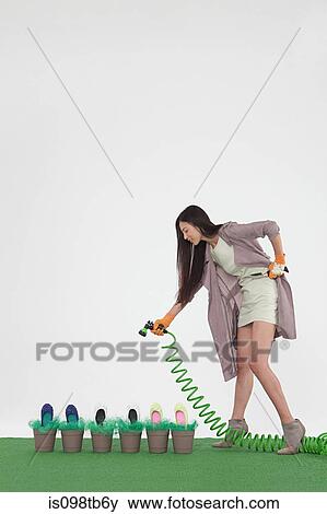 Woman with hosepipe and shoes in flower pots View Large Photo Image Stock Photo - Woman with hosepipe and shoes in flower pots. Fotosearch