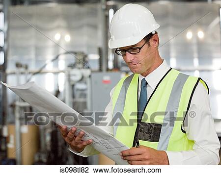 Mature man with blueprint in factory View Large Photo Image Stock Image - Mature man with blueprint in factory. Fotosearch