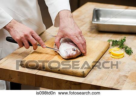 Male chef preparing fish in commercial kitchen View Large Photo Image Picture - Male chef preparing fish in commercial kitchen. Fotosearch