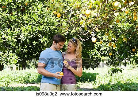 Couple by lemon tree View Large Photo Image Stock Image - Couple by lemon tree. Fotosearch