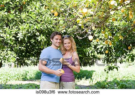 Couple by lemon tree View Large Photo Image Stock Photograph - Couple by lemon tree. Fotosearch