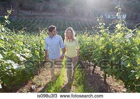 Couple in a sunlit vineyard View Large Photo Image Stock Image - Couple in a sunlit vineyard. Fotosearch