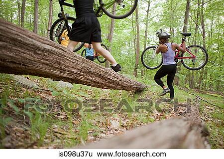 Cyclists carrying bikes in forest View Large Photo Image Stock Photograph - Cyclists carrying bikes in forest. Fotosearch