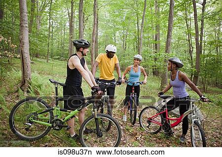 Four cyclists in forest View Large Photo Image Picture - Four cyclists in forest. Fotosearch