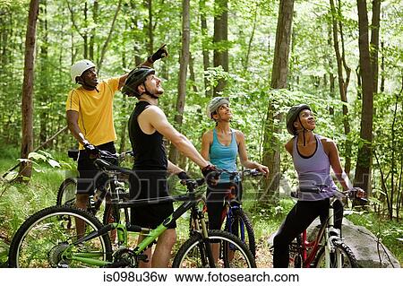 Four cyclists in forest View Large Photo Image Stock Photo - Four cyclists in forest. Fotosearch