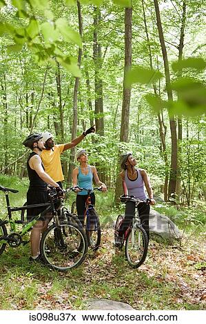 Four cyclists in forest View Large Photo Image Stock Photo - Four cyclists in forest. Fotosearch